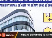 Cách kiểm tra số khung số máy xe Yamaha trong diện thu hồi