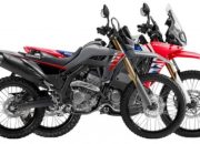 Honda CRF250L và CRF250 Rally 2025 trình làng với loạt nâng cấp siêu “xịn”