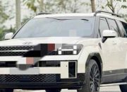Giá bán lại của chiếc Hyundai Santafe xịn nhất hiện nay, Odo chỉ 3.000Km