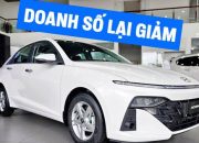 Doanh số Hyundai tháng 2/2025: Không mẫu nào bán quá 500 chiếc, Stargazer, Custin bất ngờ trở thành điểm sáng